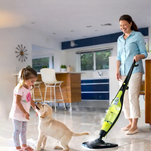 H2O HD® Dual Buff 8-in-1 Steam Cleaner (tv)